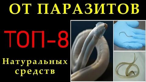 Вылечить паразитов