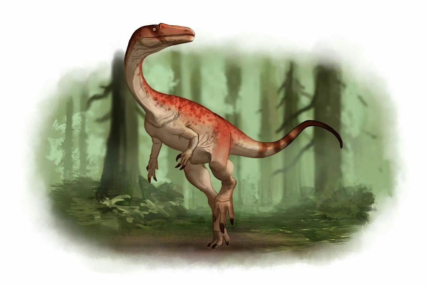 Диностер про динозавров. Целофизис Баури. Целофизис динозавр. Целофизис палеоарт. Целофис динозавр.