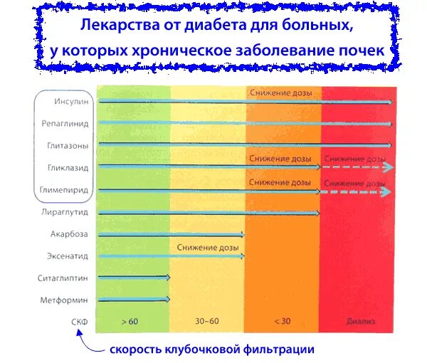 Особенности применения лекарственных препаратов при заболеваниях почек. Диабетическая нефропатия хбп с3б. диабетическая нефропатия скф. препараты при диабетической нефропатии почек. сахароснижающие препараты при хбп.