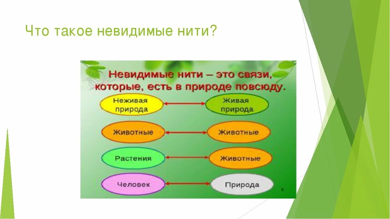 Невидимые нити в весеннем лесу примеры. Невидимые нити схема. Невидимые нити между природой и человеком. Задание по теме невидимые нити. Невидимые связи в природе.