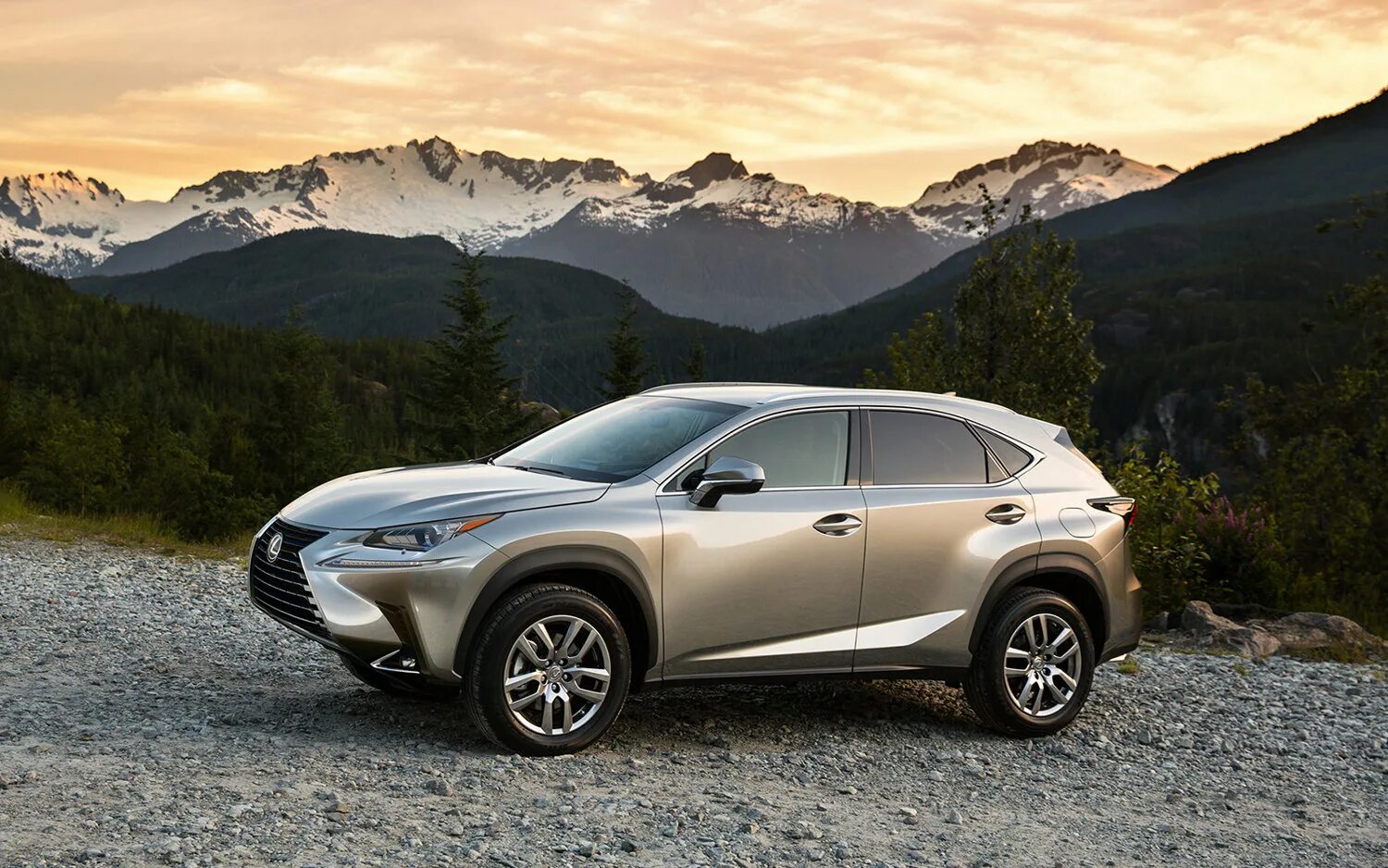 Lexus полный привод. Лексус NX 300 белый. Лексус NX 200. Лексус nx300 AWD. Лексус nx300 2019.