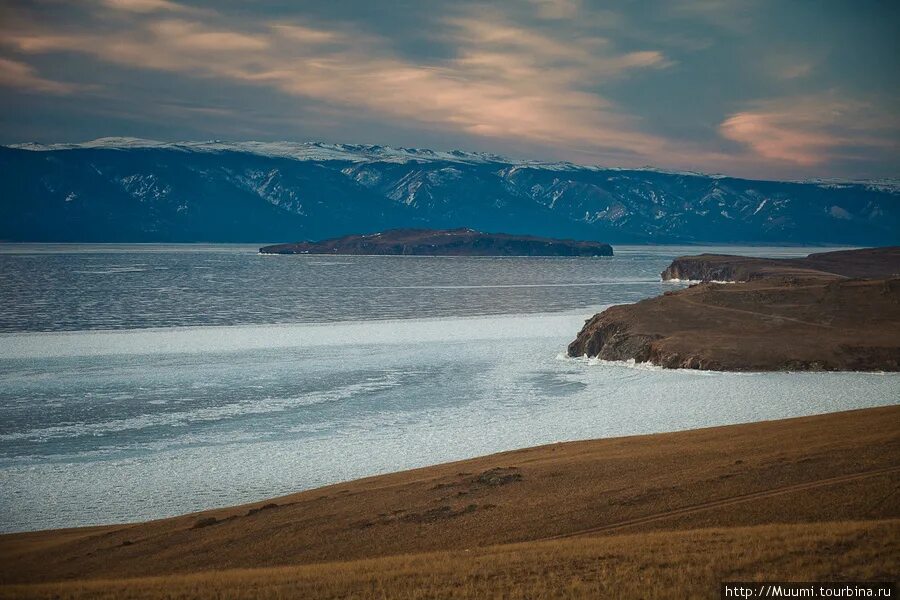Озеро байкал 40. Эндемики Байкала фото. Метка Байкал. Baikalian Force.