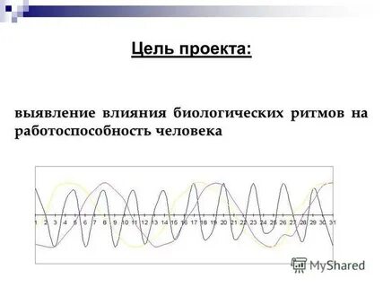 Влияние биологических ритмов
