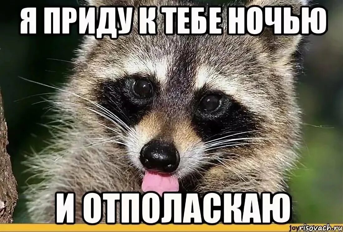 Пришли картинки