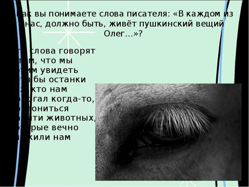 Рассказчик о чем плачут лошади. Фёдор Абрамов о чём плачут лошади. Как объяснить название рассказа и слова в каждом из нас. Абрамов фёдор Александрович о чем плачут лошади.