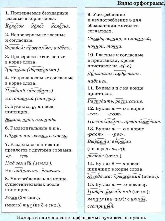 Вспомните виды орфограмм изученных. Орфограммы 6 класс. орфограммы по русскому языку 5 класс. типы орфограмм в русском языке. список орфограмм по русскому языку 3 класс.