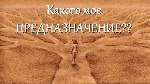 Места и назначения в жизни