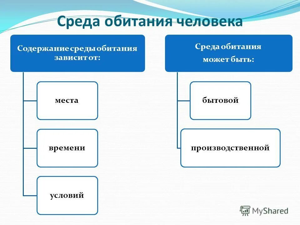 Среда обитания и факторы среды тест