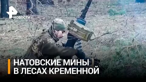 Рен тв 15 декабря 2023