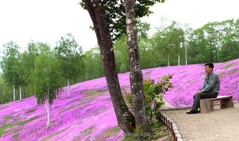 Beauty парков