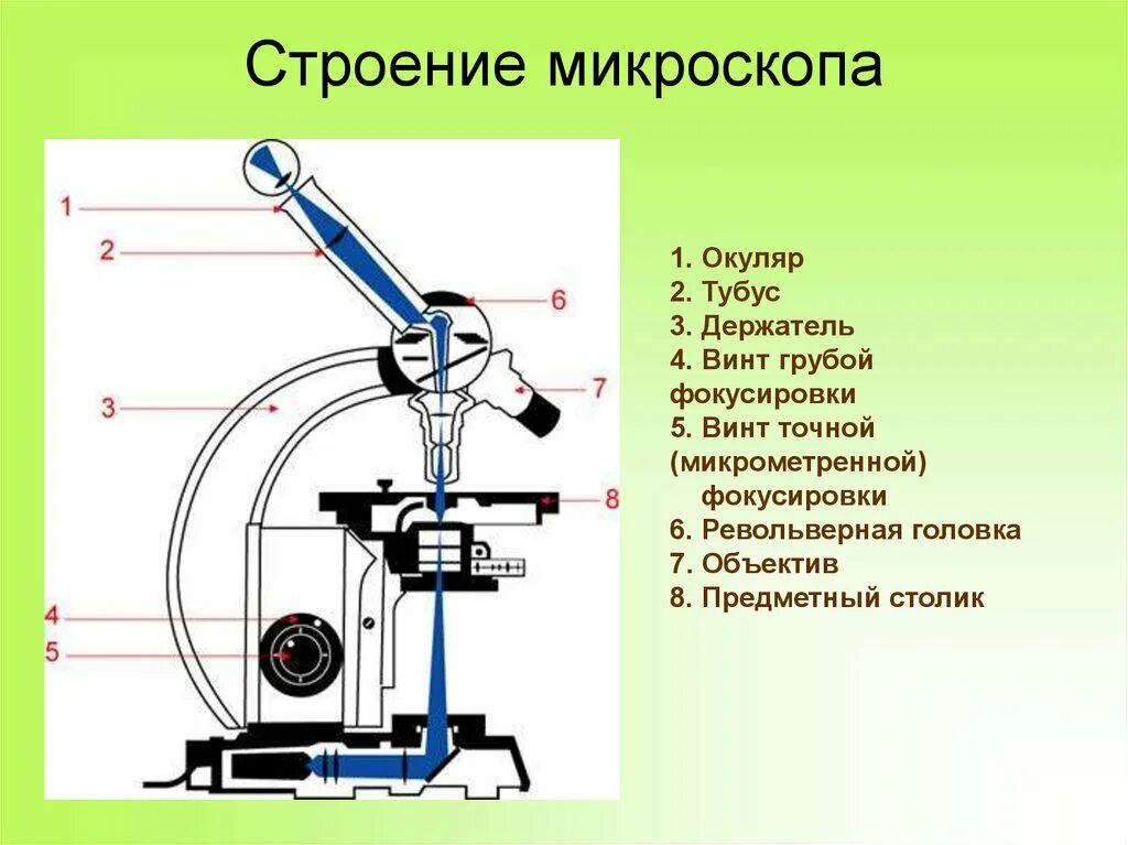 Какую функцию выполняет основание светового микроскопа. Световой микроскоп строение. Схема строения цифрового микроскопа. Современный световой микроскоп строение. Цифровой электронный микроскоп микроскоп строение.