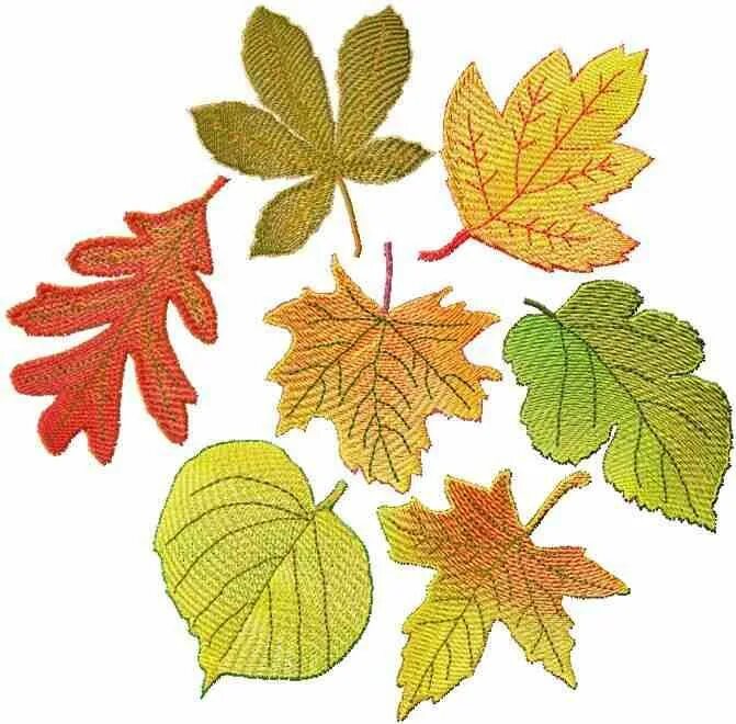 Лист рисунок цветной. Цветные листочки. Осенние листики для вырезания. Вышивание листика. Оформление листа.