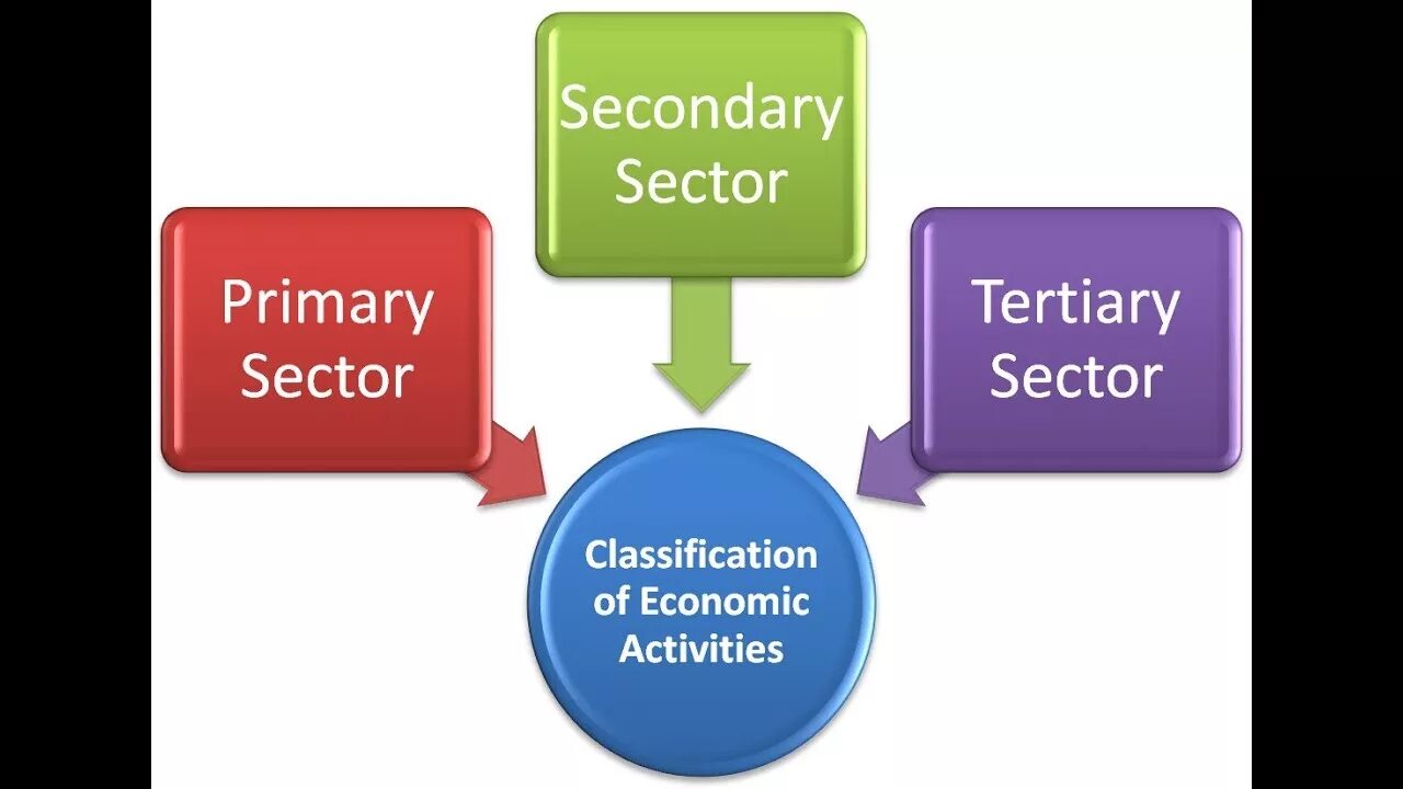Primary secondary tertiary. Primary secondary tertiary sector of economy. sectors of economy. secondary sector of economy. three sectors of the economy.