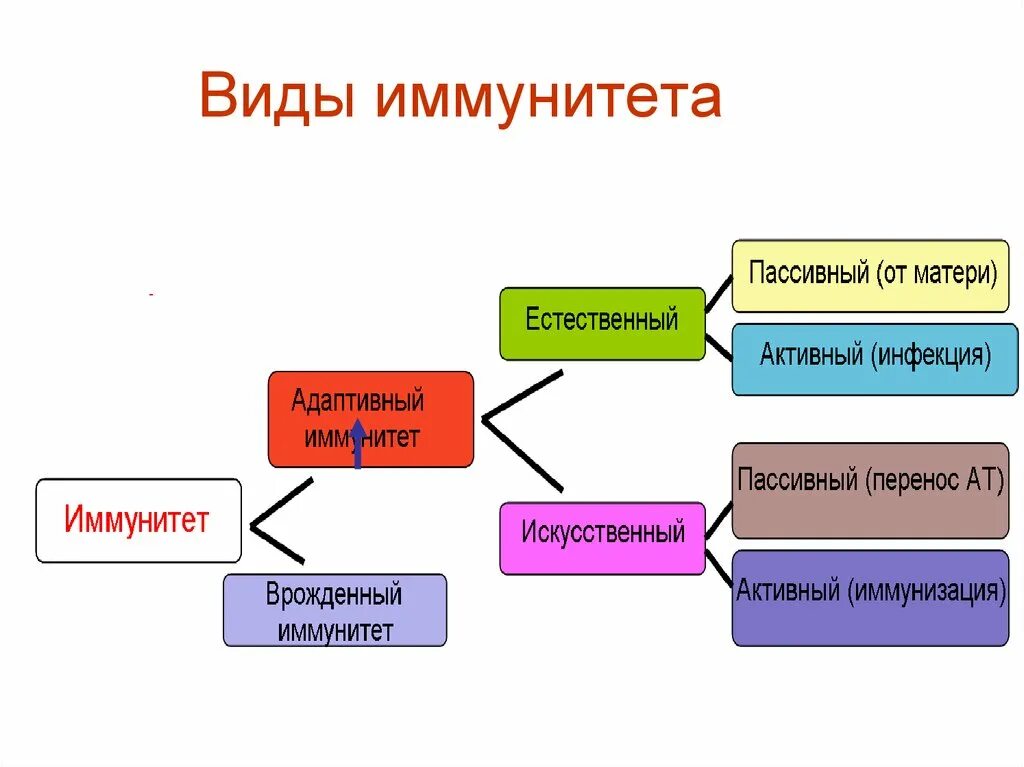 Как называется вид естественного иммунитета. Иммунитет естественный и искусственный таблица. иммунитет человека таблица. виды иммунитета. типы естественного иммунитета.