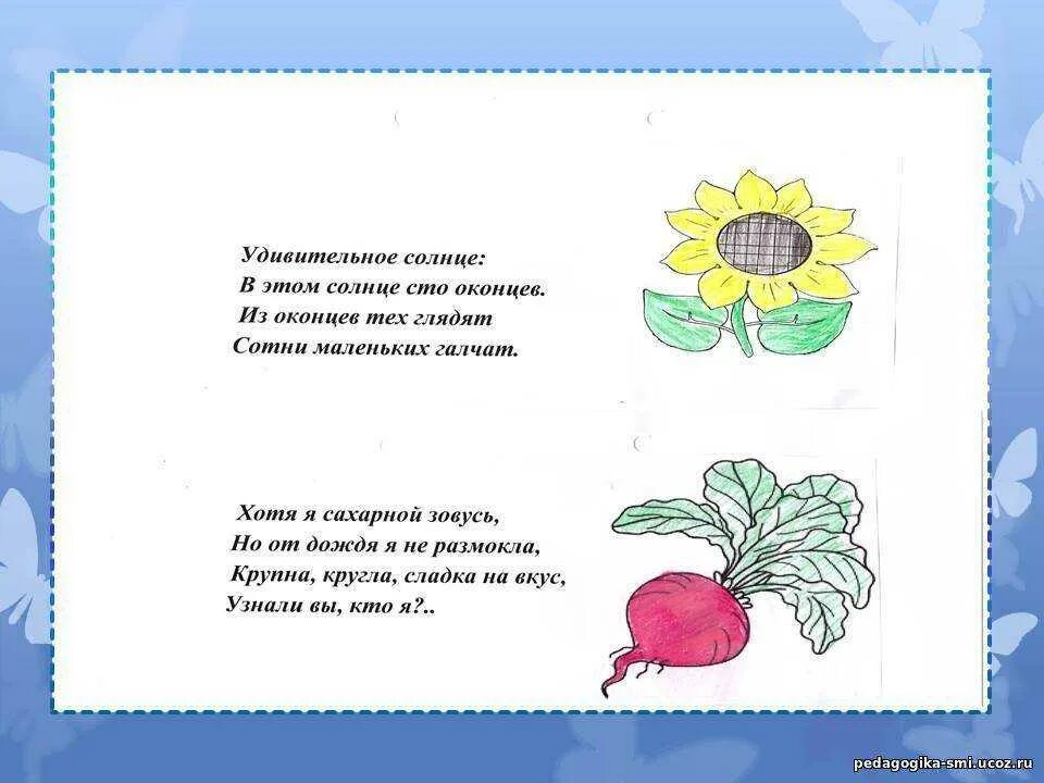 Загадки придумать самим 1. Загадки придуманные детьми. Загадки сочиненные детьми. Проект загадки. Загадки с иллюстрациями.