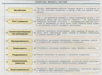 Общая характеристика жизни это