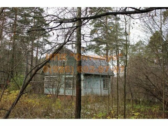 Мкр заветы ильича. Микрорайон заветы ильича пушкино московская область. Церковь иоанна богослова в заветах ильича пушкино. Улица железнодорожная завет ильича. Московская обл.