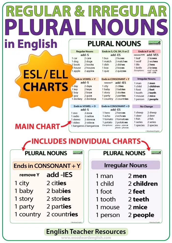 Plural Nouns английский. Noun грамматика английский. Plural Nouns исключения. Plural Nouns таблица. Wordwall spotlight plurals