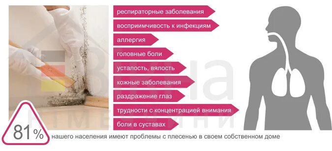 Полезная плесень для человека. Плесень влияние на здоровье человека. Вред плесени на организм человека. Влияние плесени на организм человека. Влияние плесени на организм человека.