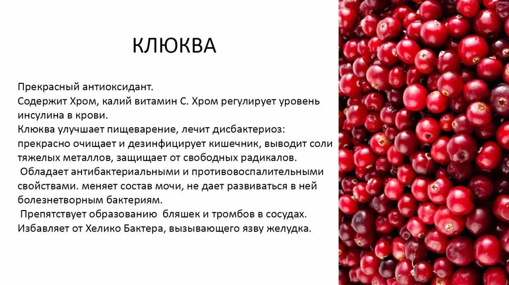 При каких заболеваниях полезна клюква. Клюква витамины. какие витамины в клюкве. витамины содержащиеся в клюкве. содержание витамина с в клюкве.