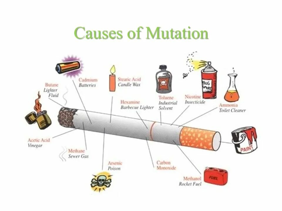сигареты и папиросы разница. вредные вещества в сигарете. что надо сделать чтобы бросить курить. можно ли поменять сигареты. можно ли поменять сигареты.