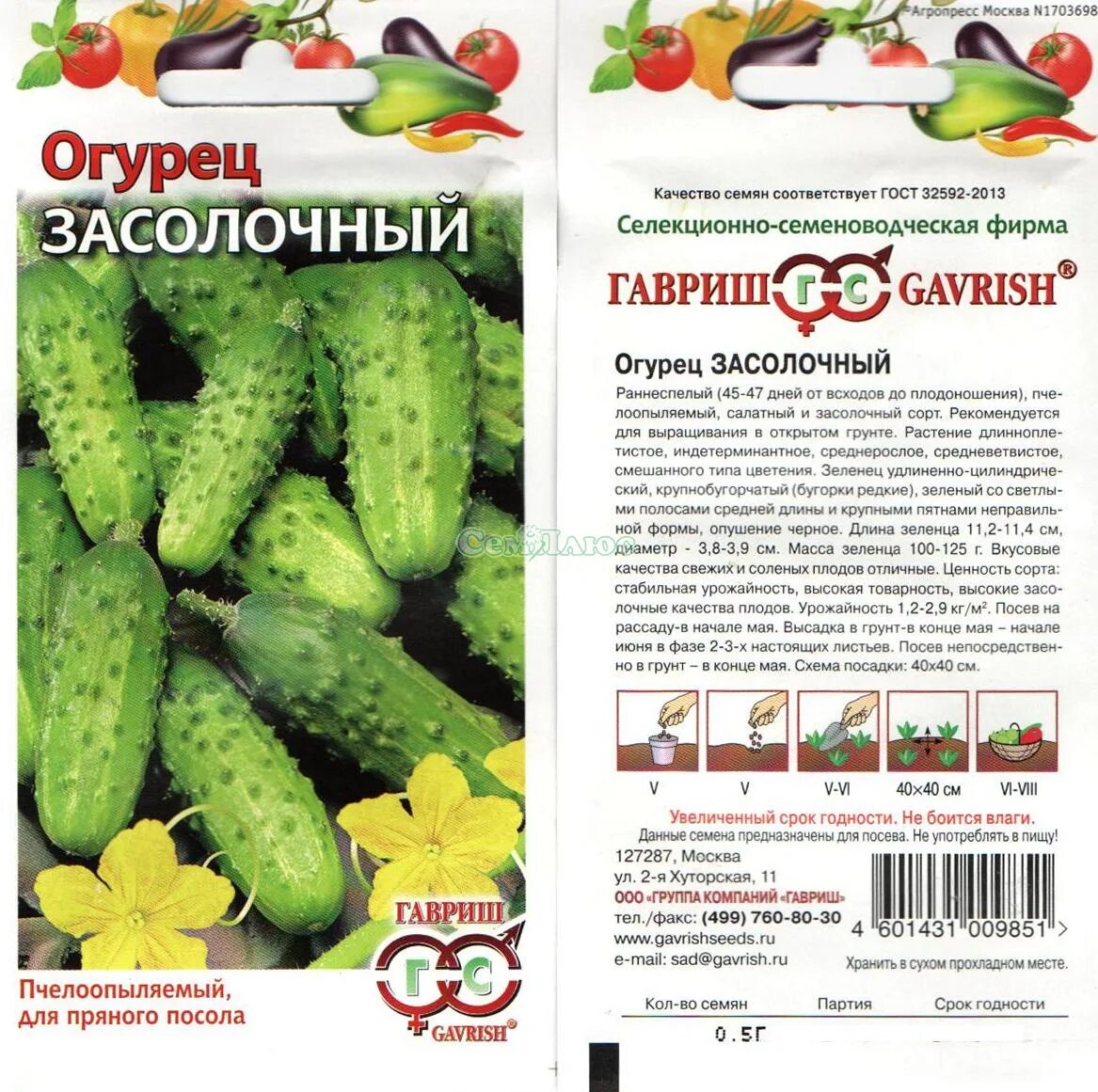 огурец сорт засолочный. огурец засолочный цв/п. огурец сорт засолочный. огурец сорт засолочный. огурец-корнишон засолочный.