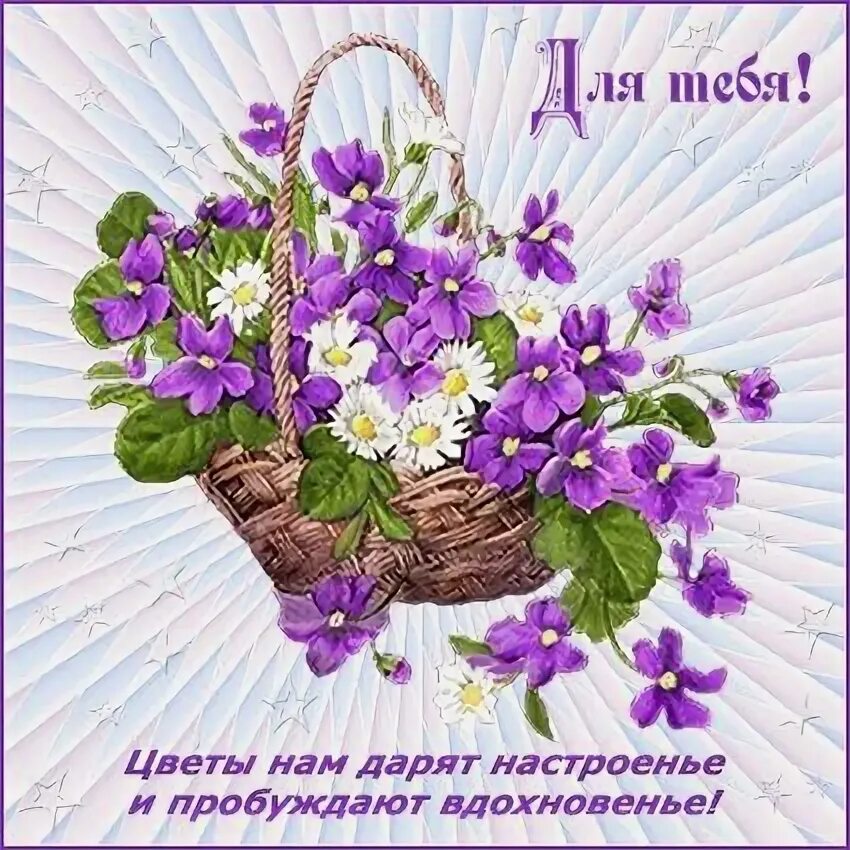 Мы как цветы я и ты. Цветы нам дарят настроение. цветы нам дарят настроение и пробуждают вдохновение. дарю настроение. цветы нам дарят настроенье автор.