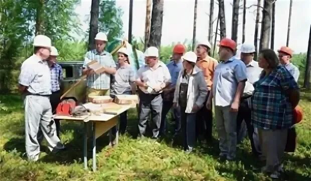 Маяк Приднепровья Быхов. Сельхоз организации Быховского района. Быховский Виктор Москва. Актер Быховский.