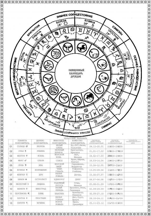 Календарь друидов. Календарь друидов деревья. Год по календарю друидов. Гороскоп деревьев.
