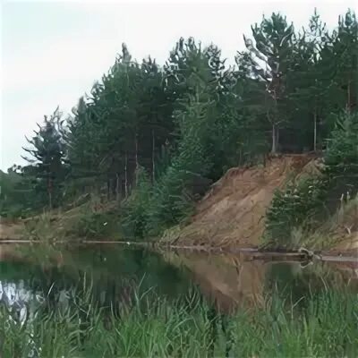 Новая малукса мемориал. Ижоры малукса. Воинский мемориал новая малукса. Ст. Можно ли копать на малуксе.
