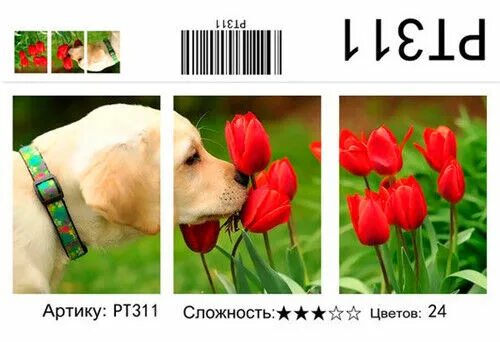 3 311 2. Рт 311. рисование по номерам триптих.