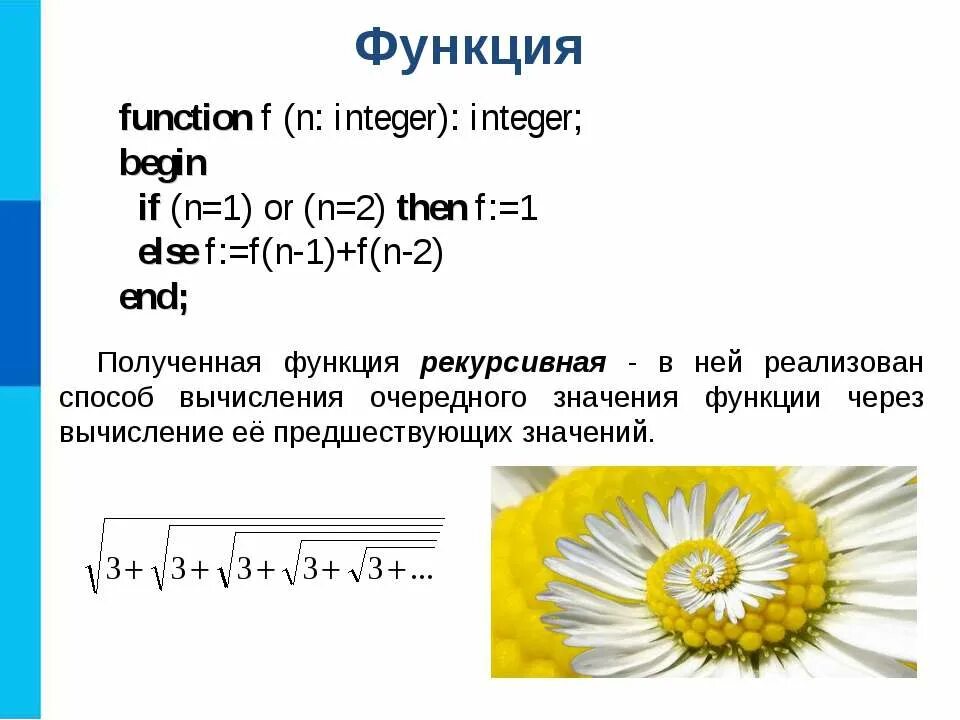 Функция begin. Функция integer. begin функция. function f n integer integer begin if n 2. функция else.