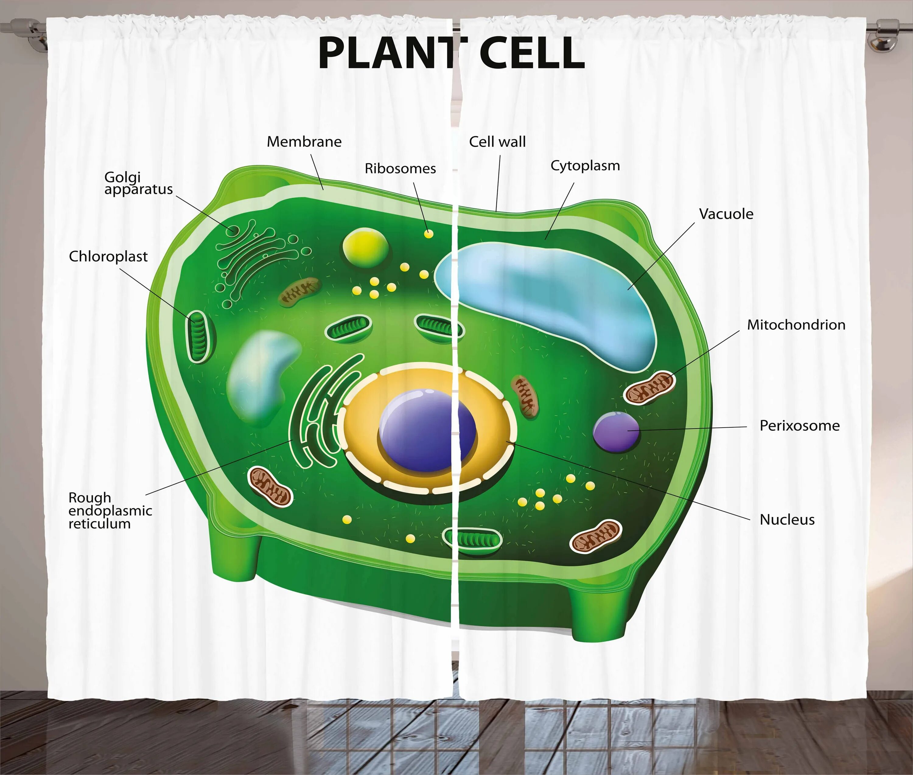 Set cell