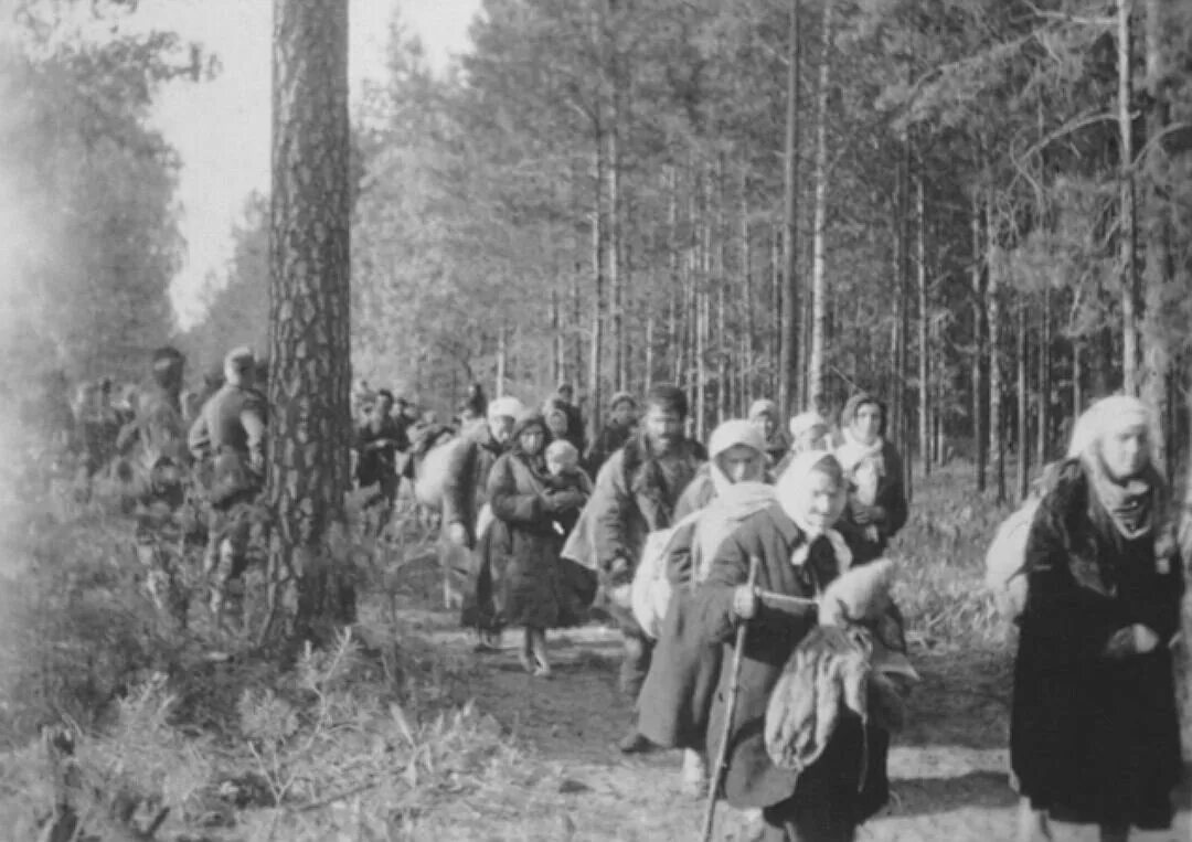 Партизанский лагерь в белоруссии вов. Синявинские болота вов. Партизанская землянка. Хюртгенский лес 1944. Хюртгенский лес 1944.