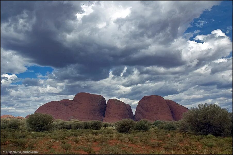 австралия тонет. брум западная австралия. наводнение в австралии сейчас. австралия сидней перт. австралия саванна с кенгуру.