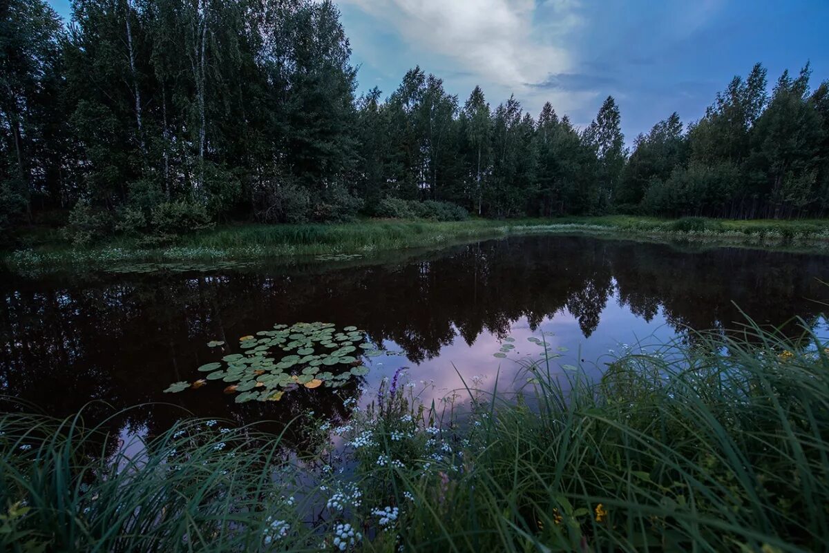 Озера мещеры. Черное озеро Мещера. Национальный парк Мещера почвы. Парк Мещера озеро великое. Мещерский лес озеро.