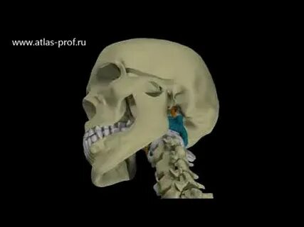 Атлант видео