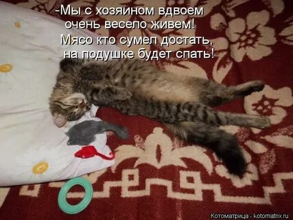 Очень весело живем