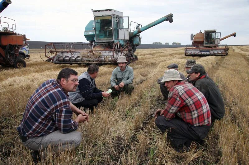 Трактористки советская живопись. Сельское хозяйство агроном. Социалистический реализм колхозники. Социалистический реализм (соцреализм) ссср. Картина в родном колхозе.