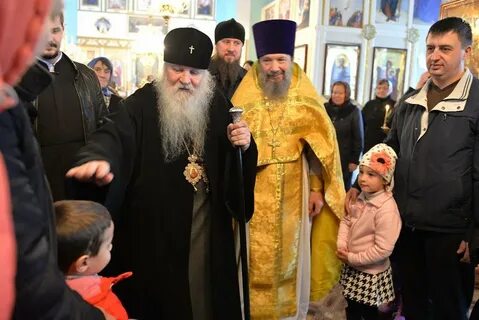 Елец лозовка