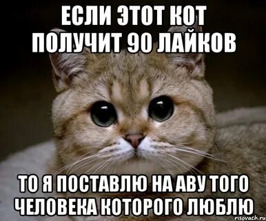 Включи залетать