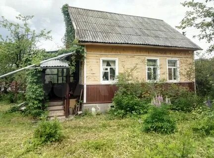 Авито раменски