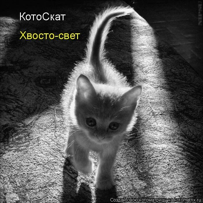 мама ты моё солнышко. мама лучик солнца. солнце в руках. лучик света. солнце на ладони.