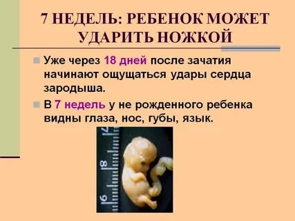 Куда произошла недель