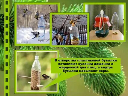 Презентация кормушка