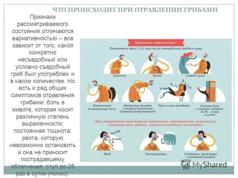 Отравление ядовитыми грибами симптомы и первая помощь. Отравление грибами симптомы. Отравление грибами симптомы и признаки. Первая помощь при отравлении грибами. Через сколько появляется бывшие