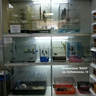 Магазины товары для животных каталог