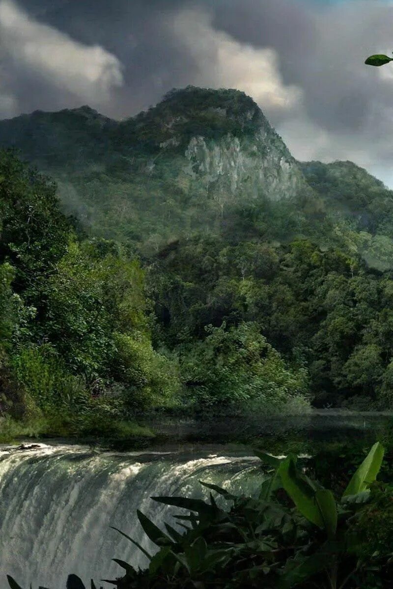 Сила джунглей. Джунгли. Природа джунгли. Горы в джунглях. Джунгли 1080.