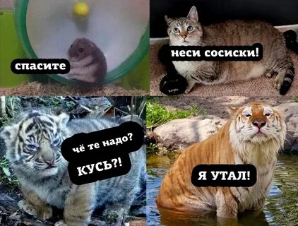 Выпусти внутреннего