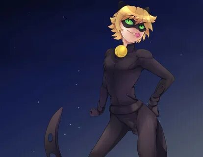 Cat Noir Rule 34.